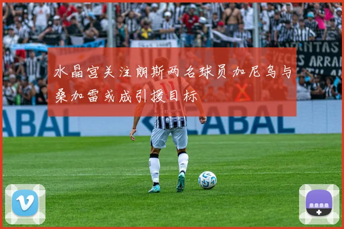 水晶宫关注朗斯两名球员加尼乌与桑加雷或成引援目标