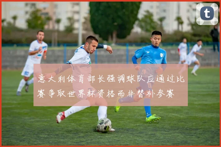 意大利体育部长强调球队应通过比赛争取世界杯资格而非替补参赛