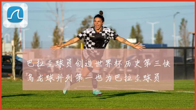 巴拉圭球员创造世界杯历史第三快乌龙球并列第一也为巴拉圭球员