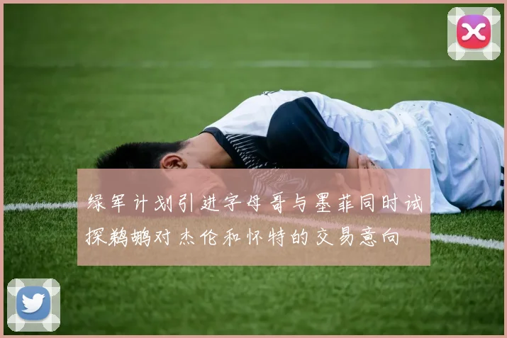 绿军计划引进字母哥与墨菲同时试探鹈鹕对杰伦和怀特的交易意向